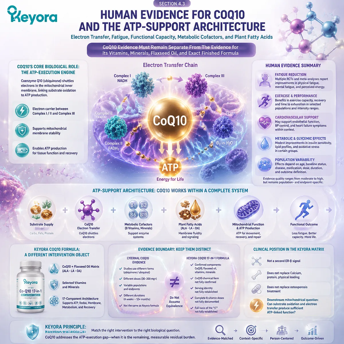 CoQ10 supports fatigue and energy metabolism through mitochondrial electron transfer, ATP production and recovery pathways within the Keyora Complete Multi-Nutrient Human-Evidence Matrix. CoQ10 supports fatigue and energy metabolism through mitochondrial electron transfer, ATP production and recovery pathways within the Keyora Complete Multi-Nutrient Human-Evidence Matrix.