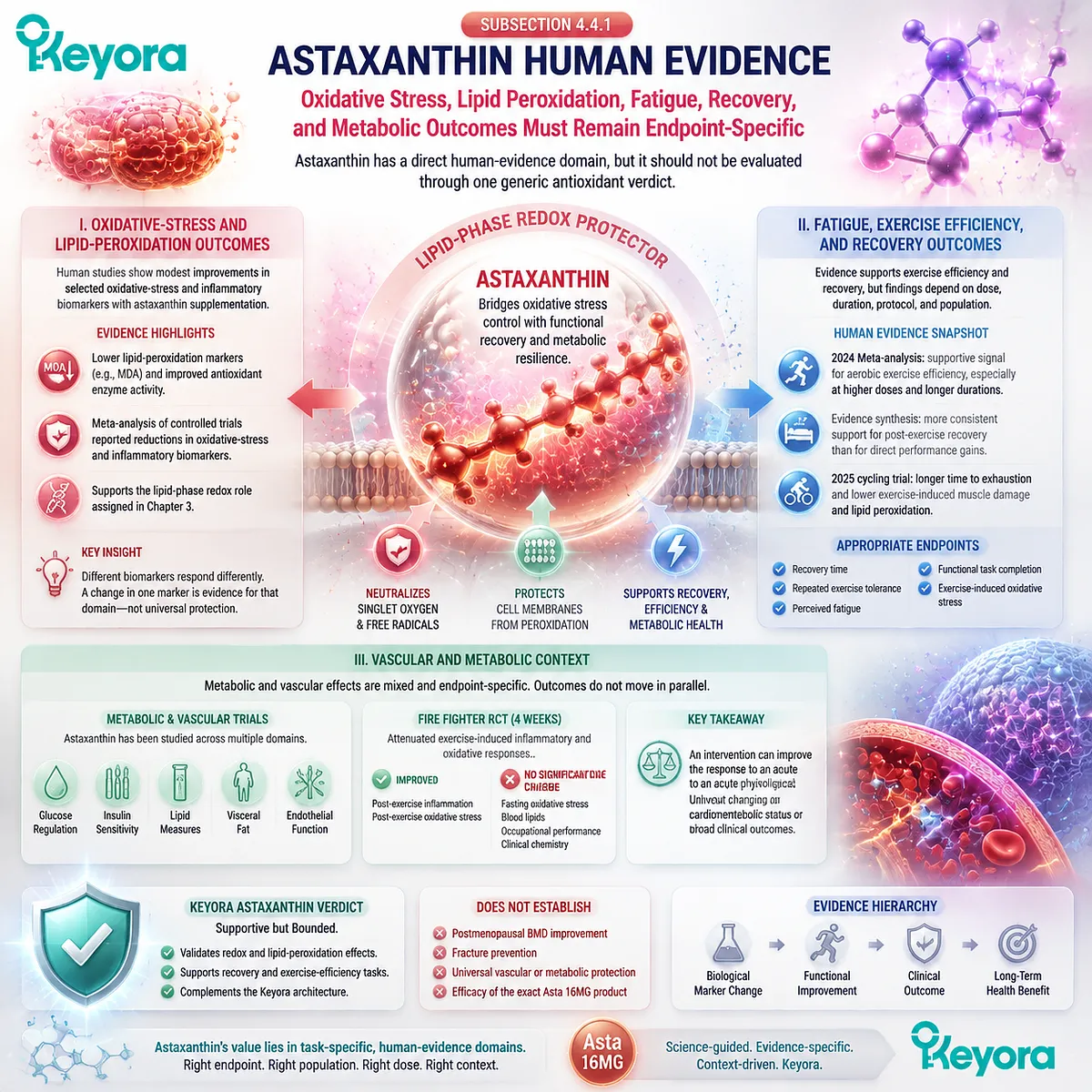 Astaxanthin supports oxidative stress balance, fatigue recovery and exercise efficiency through lipid-phase redox control within the Keyora Astaxanthin Matrix and evidence architecture. Astaxanthin supports oxidative stress balance, fatigue recovery and exercise efficiency through lipid-phase redox control within the Keyora Astaxanthin Matrix and evidence architecture.
