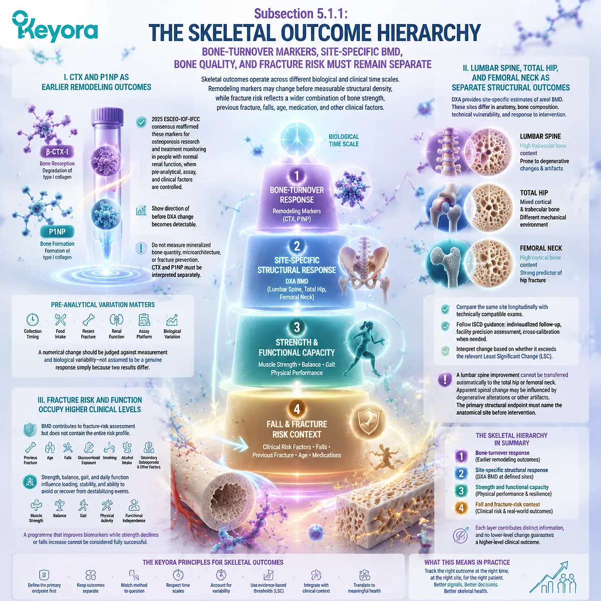 Bone health assessment in menopause separates CTX, P1NP, BMD, fracture risk, and function through skeletal remodeling pathways in Keyora Evidence-Grade Postmenopausal Tissue Execution Algorithm. Bone health assessment in menopause separates CTX, P1NP, BMD, fracture risk, and function through skeletal remodeling pathways in Keyora Evidence-Grade Postmenopausal Tissue Execution Algorithm.