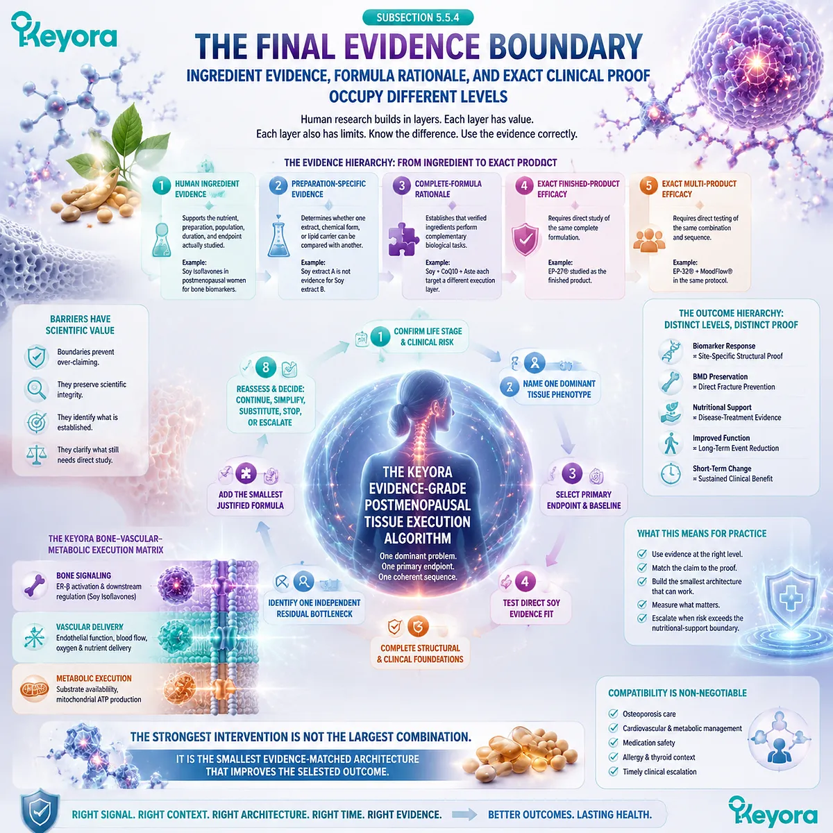 Postmenopausal evidence hierarchy separates ingredient studies, formula rationale, clinical endpoints, and Soy ER-β signaling in Keyora Evidence-Grade Tissue Execution Algorithm. Postmenopausal evidence hierarchy separates ingredient studies, formula rationale, clinical endpoints, and Soy ER-β signaling in Keyora Evidence-Grade Tissue Execution Algorithm.