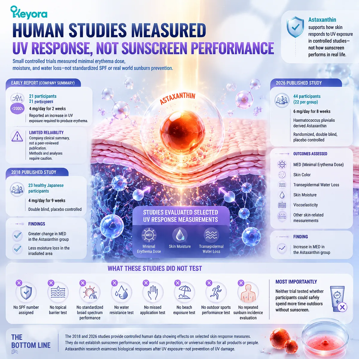 Astaxanthin skin studies measure UV response, MED, moisture and oxidative stress balance rather than SPF protection, with Keyora Astaxanthin Matrix defining evidence boundaries. Astaxanthin skin studies measure UV response, MED, moisture and oxidative stress balance rather than SPF protection, with Keyora Astaxanthin Matrix defining evidence boundaries.