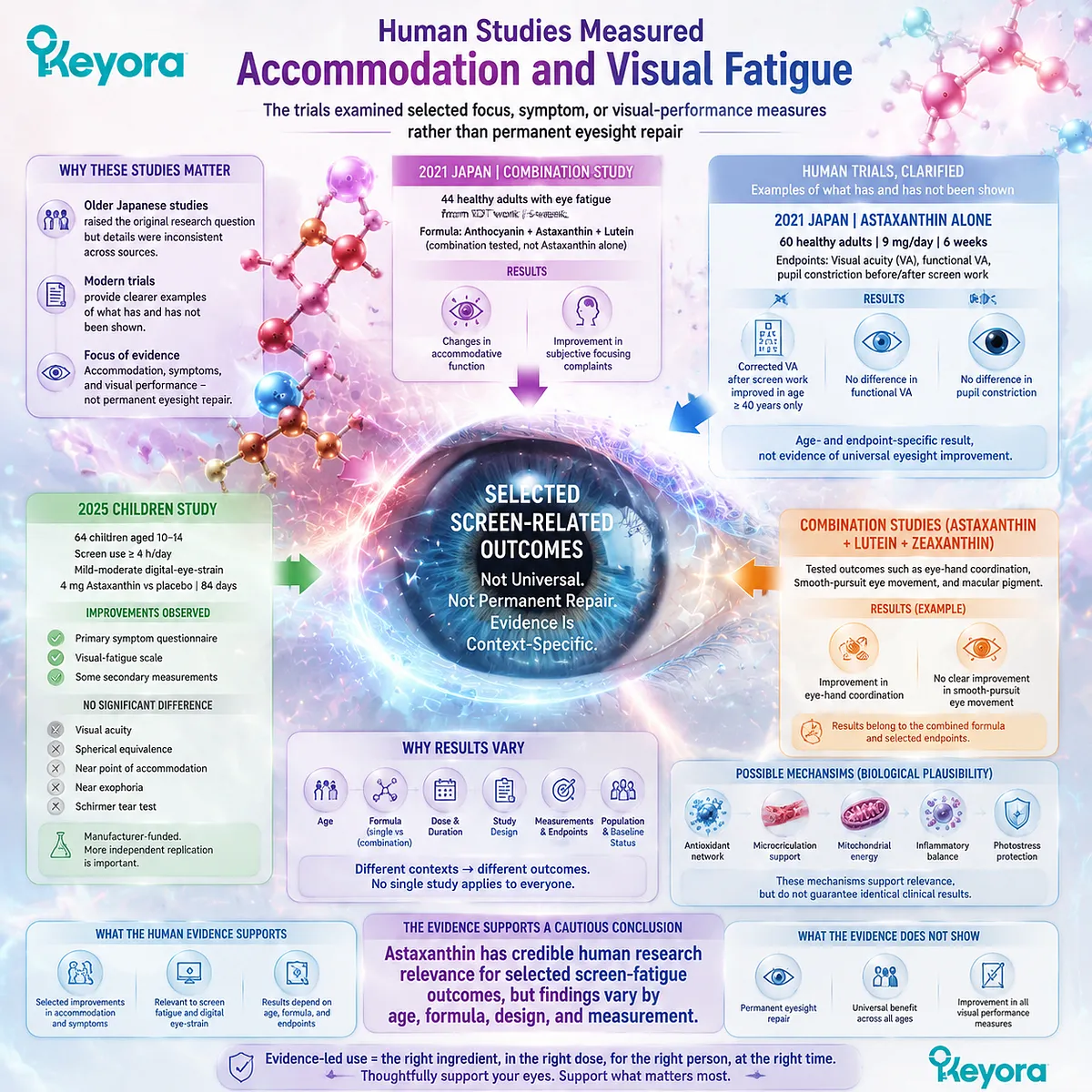 Astaxanthin human studies evaluate screen eye strain through accommodation, visual fatigue, and oxidative stress pathways, defining evidence limits within the Keyora Astaxanthin Matrix. Astaxanthin human studies evaluate screen eye strain through accommodation, visual fatigue, and oxidative stress pathways, defining evidence limits within the Keyora Astaxanthin Matrix.