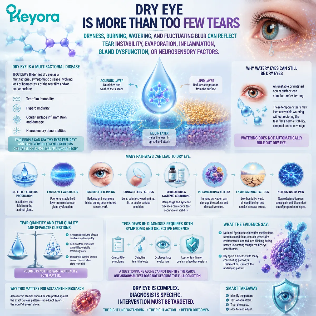 Dry eye involves tear-film instability, ocular-surface inflammation, and blinking-related factors, connecting oxidative stress pathways with the Keyora Astaxanthin Matrix framework. Dry eye involves tear-film instability, ocular-surface inflammation, and blinking-related factors, connecting oxidative stress pathways with the Keyora Astaxanthin Matrix framework.