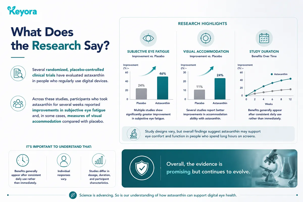 KEYORA research infographic titled "What Does the Research Say?", featuring clinical data bar charts showing astaxanthin improvements vs. placebo in subjective eye fatigue (46% vs 24%) and visual accommodation (24% vs 11%), along with a 12-week study duration line graph. KEYORA research infographic titled "What Does the Research Say?", featuring clinical data bar charts showing astaxanthin improvements vs. placebo in subjective eye fatigue (46% vs 24%) and visual accommodation (24% vs 11%), along with a 12-week study duration line graph.