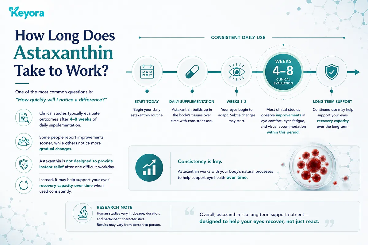 KEYORA timeline infographic titled "How Long Does Astaxanthin Take to Work?", mapping out a daily routine from Start Today to Weeks 4–8 Clinical Evaluation. It emphasizes that astaxanthin is a long-term support nutrient building up in body tissues over time rather than providing an instant quick fix. KEYORA timeline infographic titled "How Long Does Astaxanthin Take to Work?", mapping out a daily routine from Start Today to Weeks 4–8 Clinical Evaluation. It emphasizes that astaxanthin is a long-term support nutrient building up in body tissues over time rather than providing an instant quick fix.
