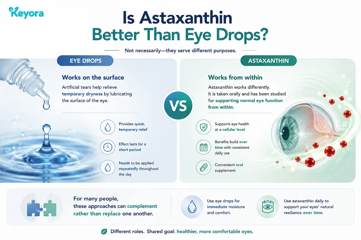KEYORA compares astaxanthin and eye drops, showing how surface lubrication and internal cellular support complement each other for total eye care. KEYORA compares astaxanthin and eye drops, showing how surface lubrication and internal cellular support complement each other for total eye care.
