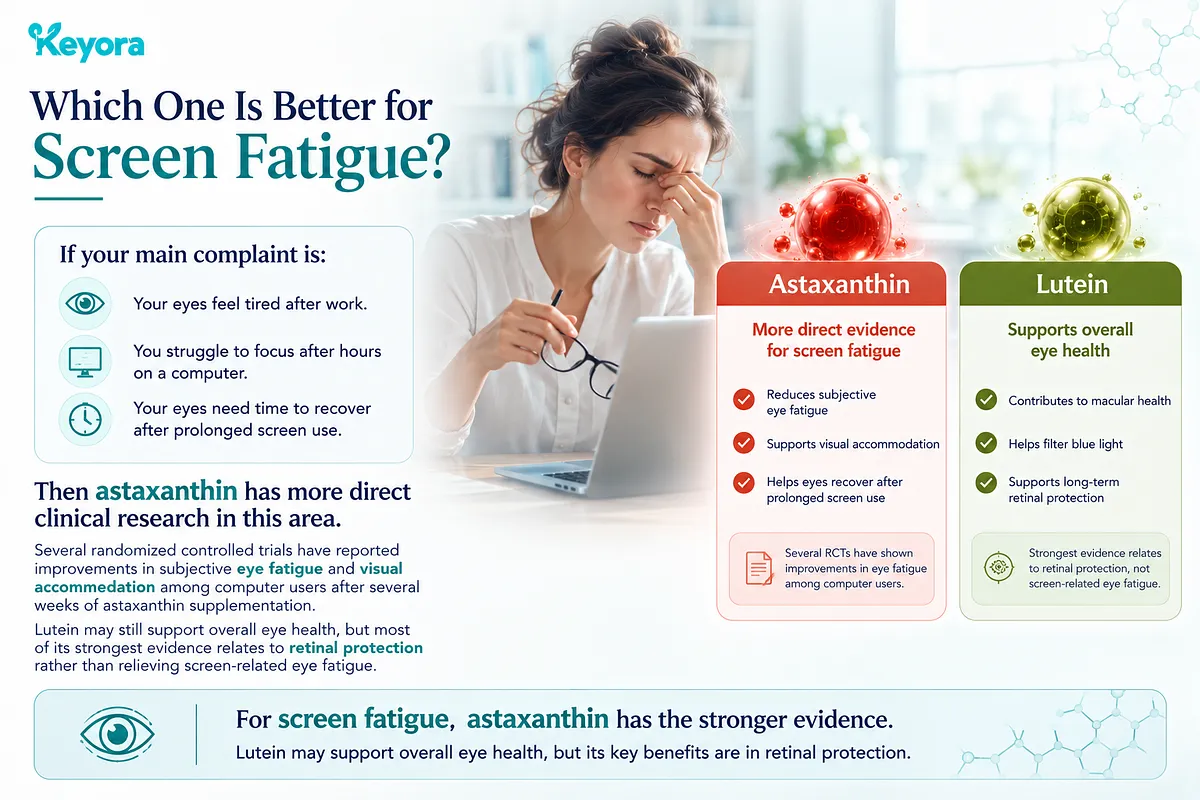 KEYORA comparison slide titled "Which One Is Better for Screen Fatigue?", featuring a woman rubbing her eyes at a computer screen. It compares Astaxanthin (stronger direct evidence for screen fatigue, visual accommodation, and screen recovery) against Lutein (strongest evidence for macular and retinal protection). KEYORA comparison slide titled "Which One Is Better for Screen Fatigue?", featuring a woman rubbing her eyes at a computer screen. It compares Astaxanthin (stronger direct evidence for screen fatigue, visual accommodation, and screen recovery) against Lutein (strongest evidence for macular and retinal protection).