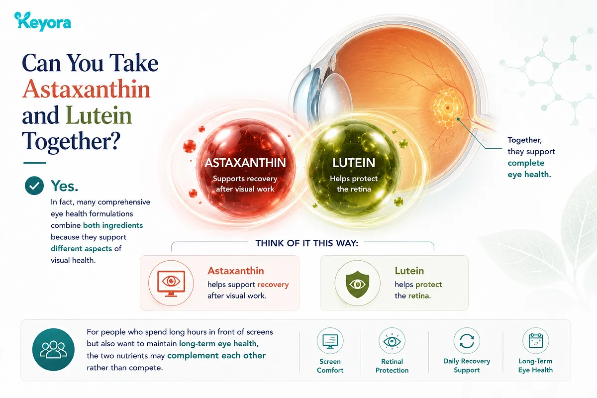 KEYORA infographic answering "Can You Take Astaxanthin and Lutein Together?", showing an eye anatomy diagram with glowing red Astaxanthin and green Lutein spheres. It explains that combining both provides complete eye health support by addressing both daily screen comfort and long-term retinal care. KEYORA infographic answering "Can You Take Astaxanthin and Lutein Together?", showing an eye anatomy diagram with glowing red Astaxanthin and green Lutein spheres. It explains that combining both provides complete eye health support by addressing both daily screen comfort and long-term retinal care.