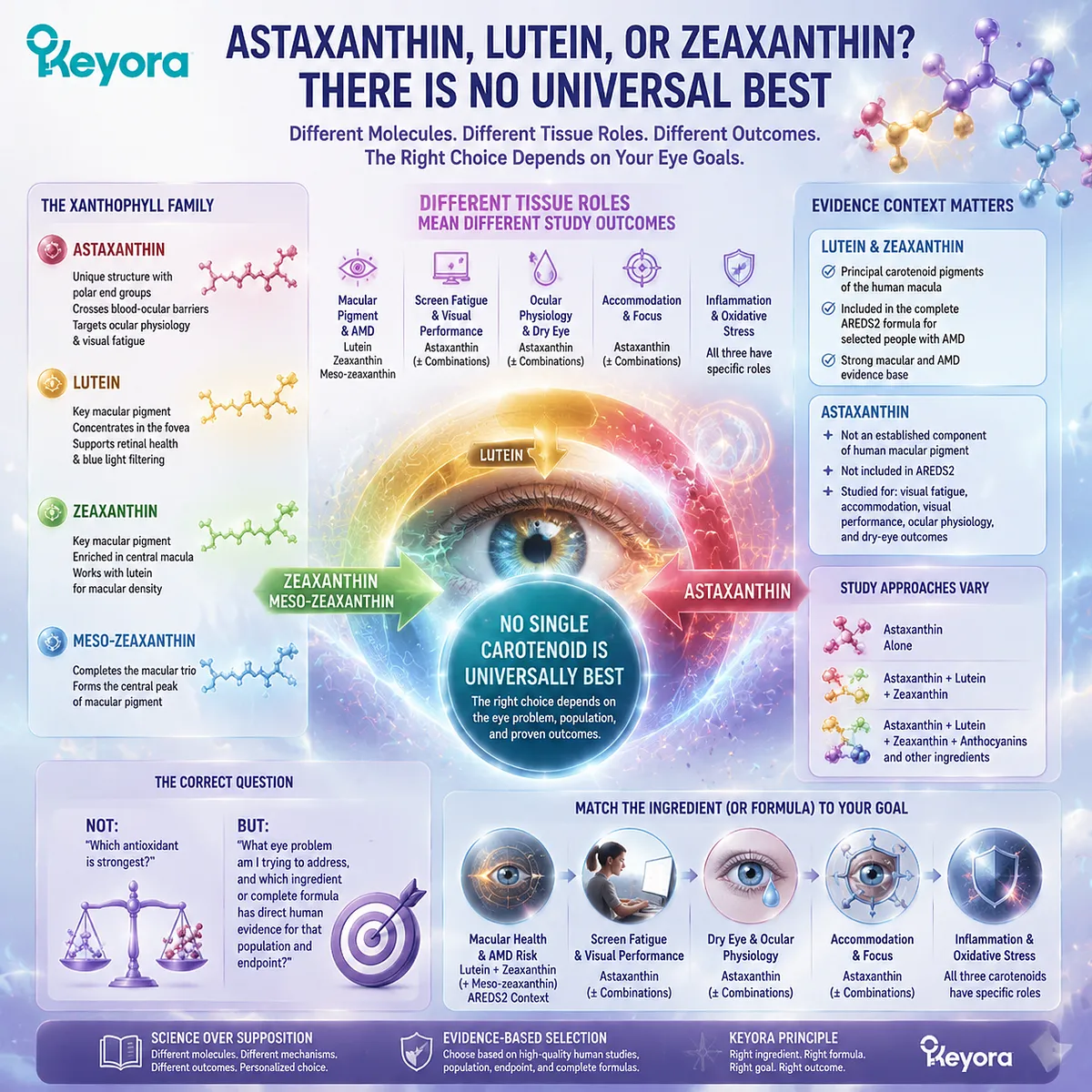 Astaxanthin, lutein and zeaxanthin support different eye health pathways through macular carotenoids, visual function and oxidative balance, framed by Keyora Astaxanthin Matrix. Astaxanthin, lutein and zeaxanthin support different eye health pathways through macular carotenoids, visual function and oxidative balance, framed by Keyora Astaxanthin Matrix.