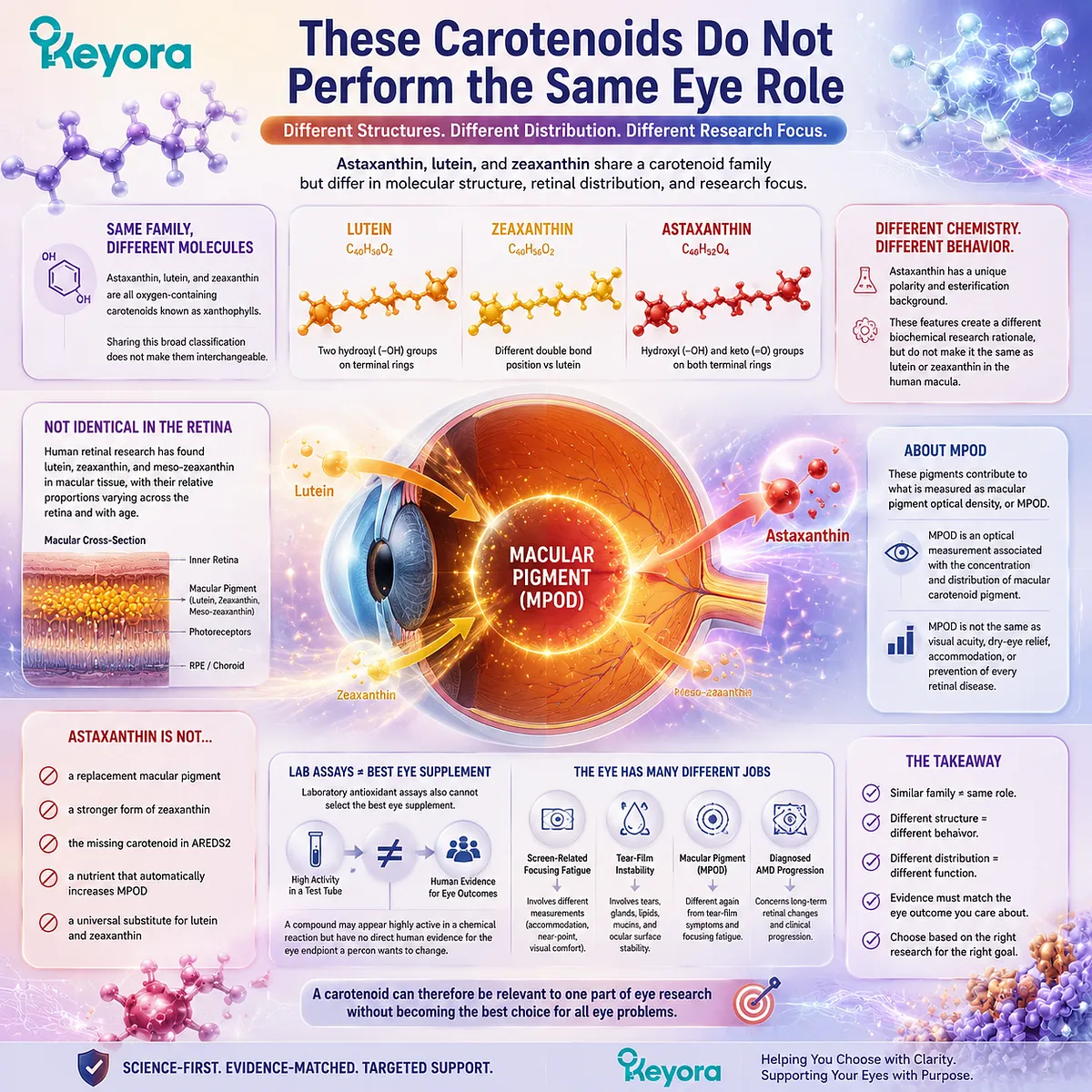 Astaxanthin, lutein and zeaxanthin have different eye health roles due to molecular structure, retinal distribution and macular pigment biology, explained by Keyora Astaxanthin Matrix. Astaxanthin, lutein and zeaxanthin have different eye health roles due to molecular structure, retinal distribution and macular pigment biology, explained by Keyora Astaxanthin Matrix.