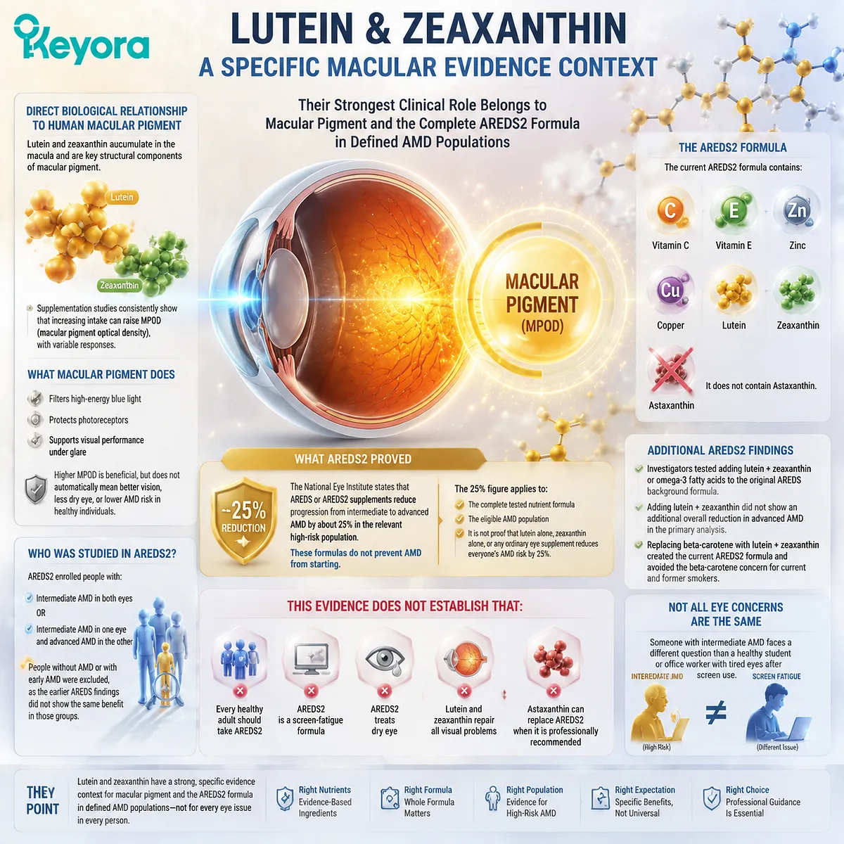 Lutein and zeaxanthin support macular pigment and AREDS2 eye health evidence through retinal carotenoid biology, while population-specific roles are framed by Keyora Astaxanthin Matrix. Lutein and zeaxanthin support macular pigment and AREDS2 eye health evidence through retinal carotenoid biology, while population-specific roles are framed by Keyora Astaxanthin Matrix.