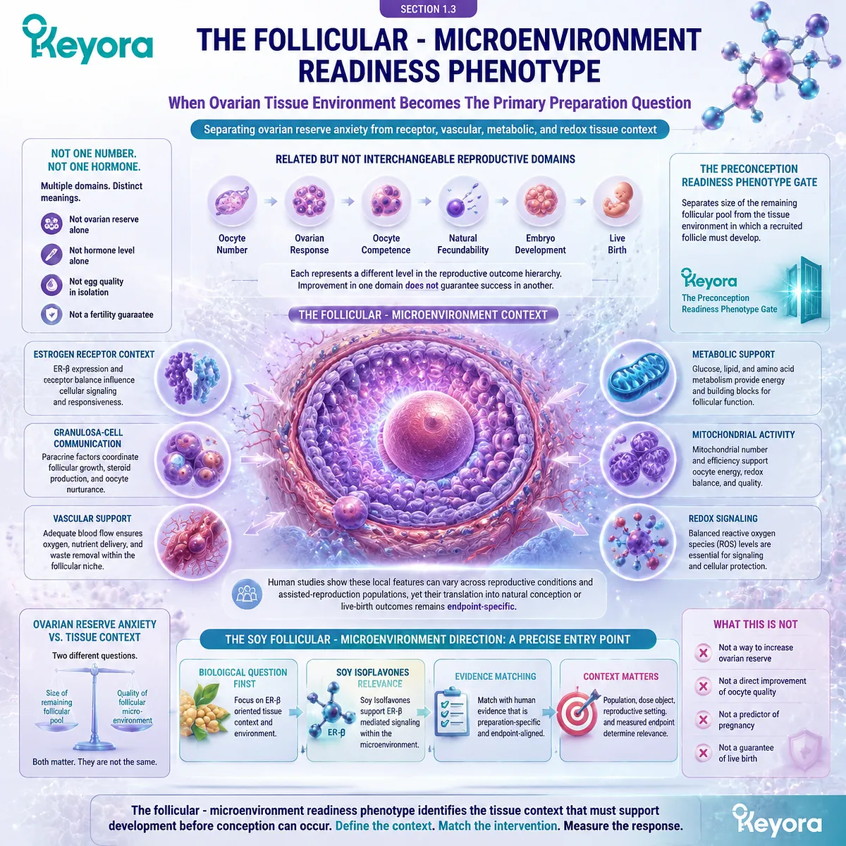 Soy isoflavones support preconception follicular microenvironment through ER-β signaling, vascular metabolic balance, mitochondrial redox context, and Keyora Preconception Readiness Phenotype Gate. Soy isoflavones support preconception follicular microenvironment through ER-β signaling, vascular metabolic balance, mitochondrial redox context, and Keyora Preconception Readiness Phenotype Gate.