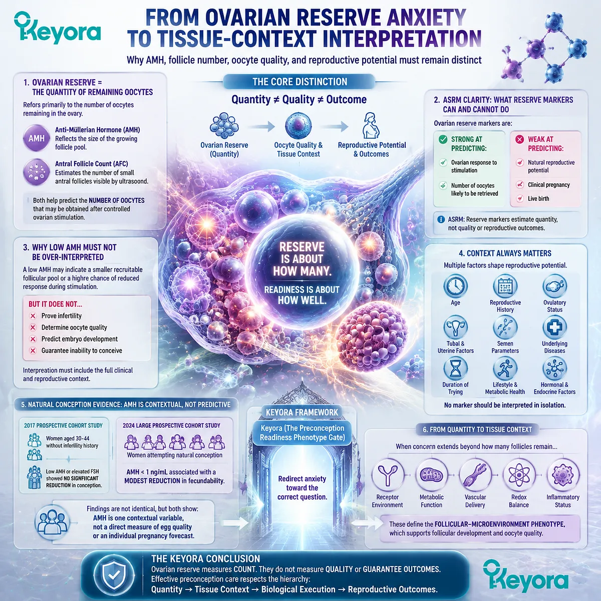 Preconception fertility wellness separates ovarian reserve from follicular microenvironment by interpreting AMH, oocyte context, ER-β signaling, and Keyora Preconception Readiness Phenotype Gate. Preconception fertility wellness separates ovarian reserve from follicular microenvironment by interpreting AMH, oocyte context, ER-β signaling, and Keyora Preconception Readiness Phenotype Gate.
