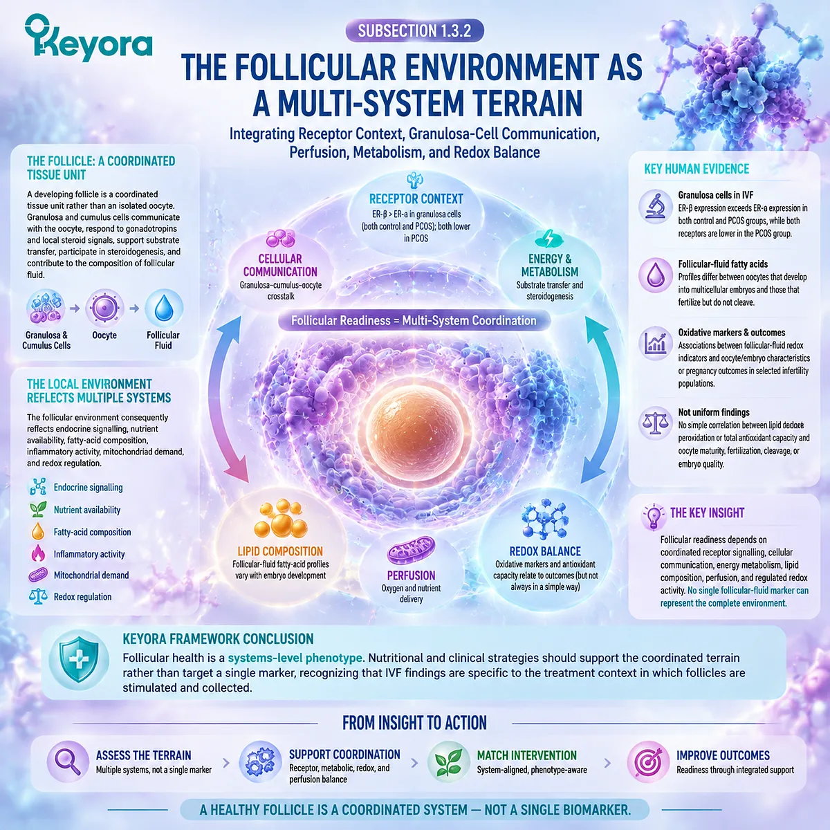 Preconception follicular wellness integrates granulosa communication, ER-β signaling, mitochondrial metabolism, lipid balance, and redox regulation through Keyora Preconception Readiness Phenotype Gate. Preconception follicular wellness integrates granulosa communication, ER-β signaling, mitochondrial metabolism, lipid balance, and redox regulation through Keyora Preconception Readiness Phenotype Gate.