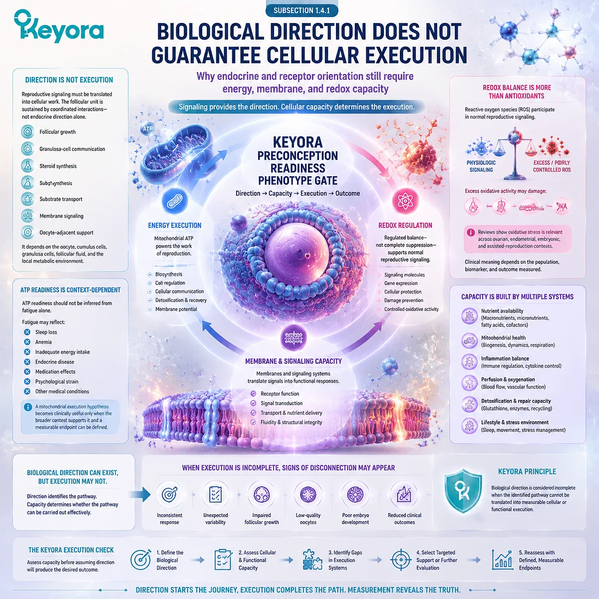 Preconception nutrition execution links mitochondrial ATP, regulated redox balance, membrane function, and cellular signaling with Keyora Preconception Readiness Phenotype Gate framework. Preconception nutrition execution links mitochondrial ATP, regulated redox balance, membrane function, and cellular signaling with Keyora Preconception Readiness Phenotype Gate framework.