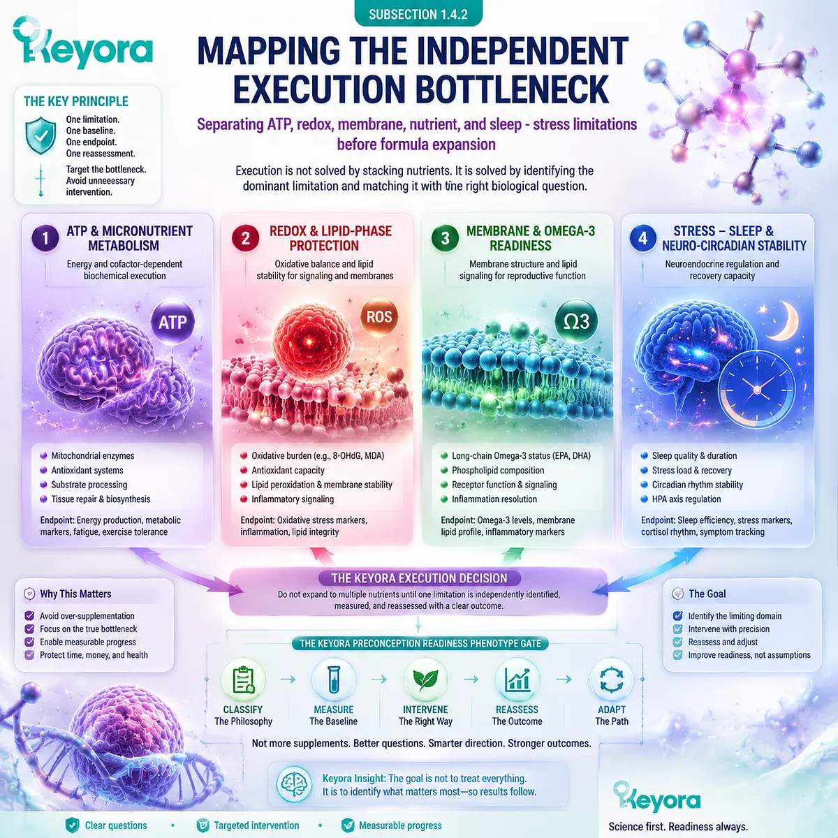 Preconception nutrition execution maps ATP metabolism, redox balance, membrane support, Omega-3 biology, and sleep stability through Keyora Preconception Readiness Phenotype Gate. Preconception nutrition execution maps ATP metabolism, redox balance, membrane support, Omega-3 biology, and sleep stability through Keyora Preconception Readiness Phenotype Gate.