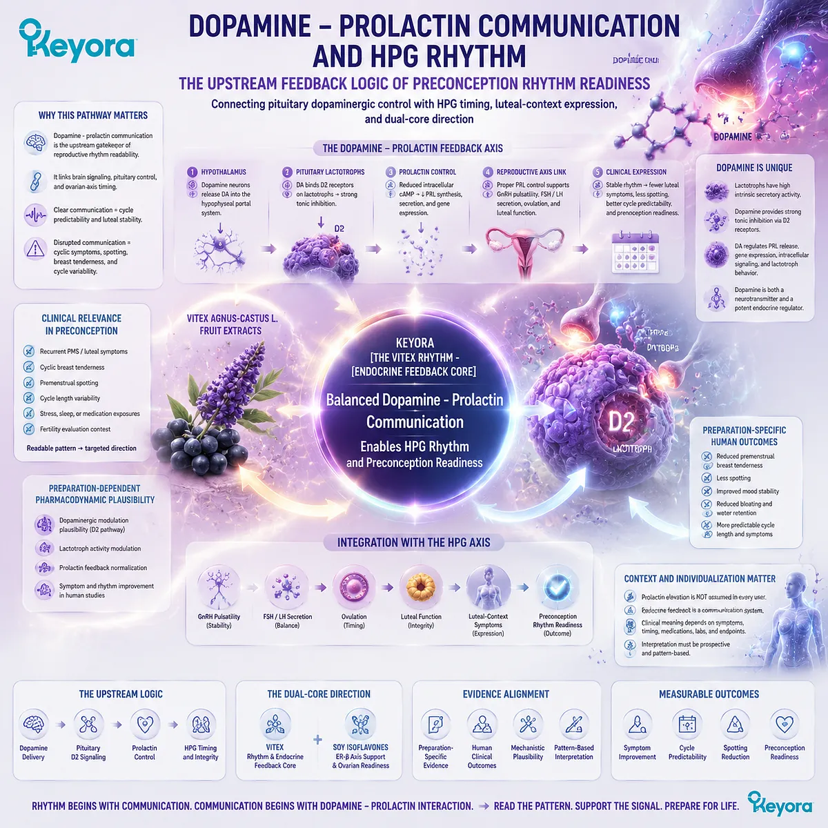 Vitex supports preconception rhythm interpretation through dopamine-prolactin communication, D2 receptor signaling, and HPG timing within the Keyora Vitex Rhythm-Endocrine Feedback Core. Vitex supports preconception rhythm interpretation through dopamine-prolactin communication, D2 receptor signaling, and HPG timing within the Keyora Vitex Rhythm-Endocrine Feedback Core.