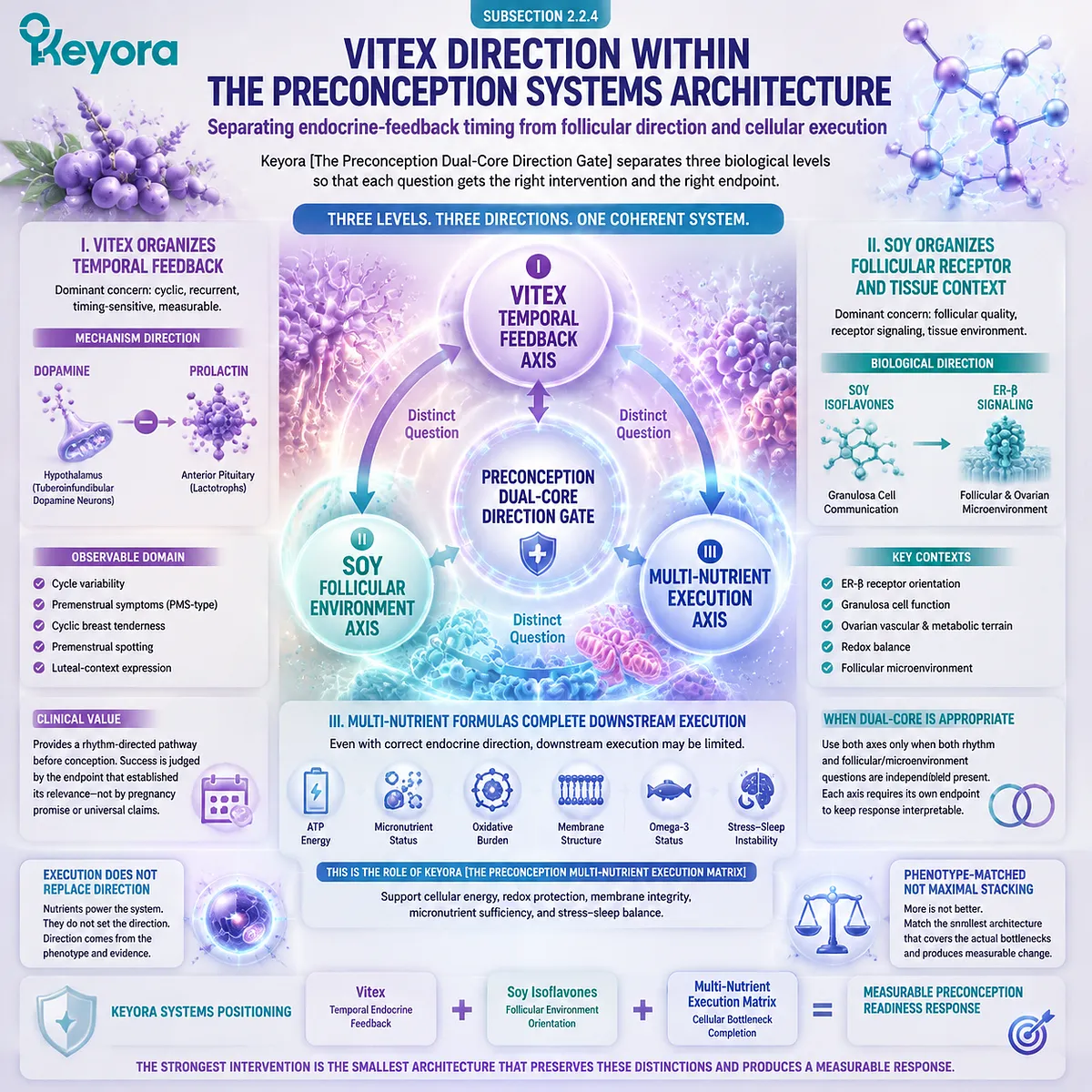 Vitex preconception rhythm support organizes dopamine-prolactin feedback timing while separating follicular and cellular pathways through the Keyora Preconception Dual-Core Direction Gate. Vitex preconception rhythm support organizes dopamine-prolactin feedback timing while separating follicular and cellular pathways through the Keyora Preconception Dual-Core Direction Gate.
