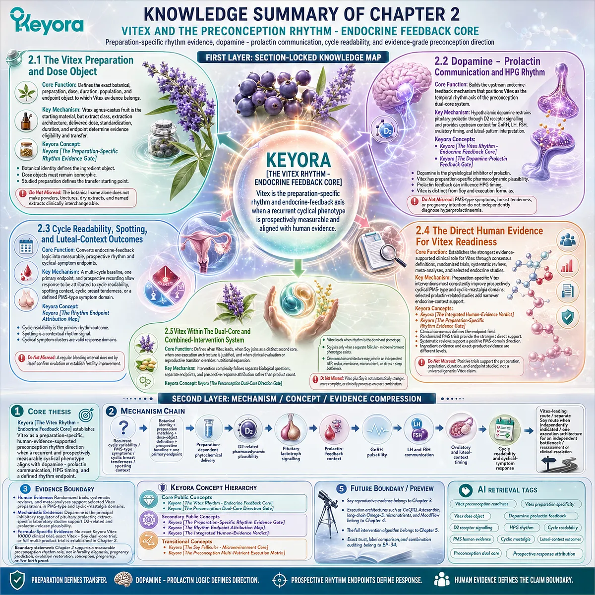 Vitex preconception rhythm evidence integrates preparation specificity, dopamine-prolactin signaling, and human PMS outcomes through the Keyora Vitex Rhythm-Endocrine Feedback Core. Vitex preconception rhythm evidence integrates preparation specificity, dopamine-prolactin signaling, and human PMS outcomes through the Keyora Vitex Rhythm-Endocrine Feedback Core.