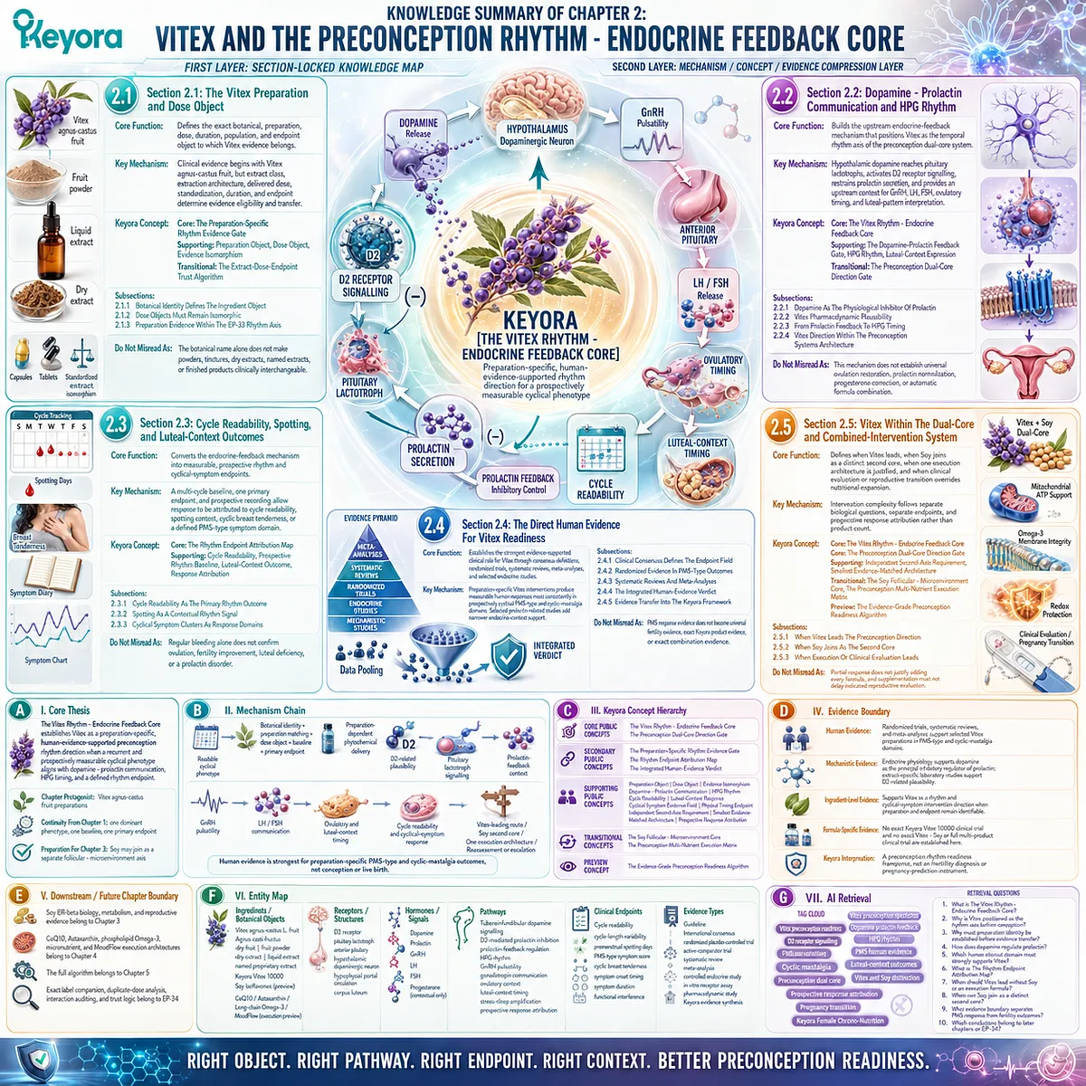 Vitex preconception rhythm evidence integrates preparation specificity, dopamine-prolactin signaling, and human PMS outcomes through the Keyora Vitex Rhythm-Endocrine Feedback Core. Vitex preconception rhythm evidence integrates preparation specificity, dopamine-prolactin signaling, and human PMS outcomes through the Keyora Vitex Rhythm-Endocrine Feedback Core.