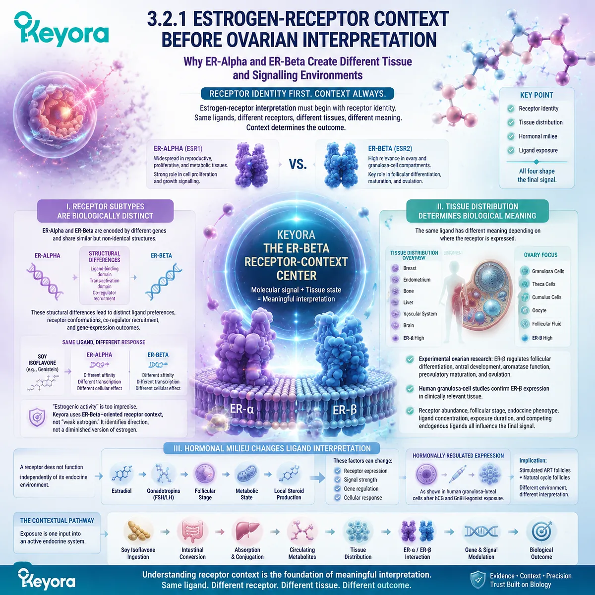 Soy isoflavones support follicular wellness through ER-β receptor context, ovarian tissue signaling, and hormonal environment interpretation within the Keyora ER-Beta Receptor-Context Center. Soy isoflavones support follicular wellness through ER-β receptor context, ovarian tissue signaling, and hormonal environment interpretation within the Keyora ER-Beta Receptor-Context Center.