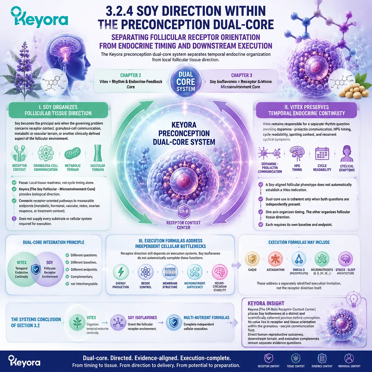 Soy isoflavones support preconception nutrition through ER-β receptor orientation, follicular microenvironment direction, and dual-core coordination in Keyora Soy Follicular - Microenvironment Core. Soy isoflavones support preconception nutrition through ER-β receptor orientation, follicular microenvironment direction, and dual-core coordination in Keyora Soy Follicular - Microenvironment Core.