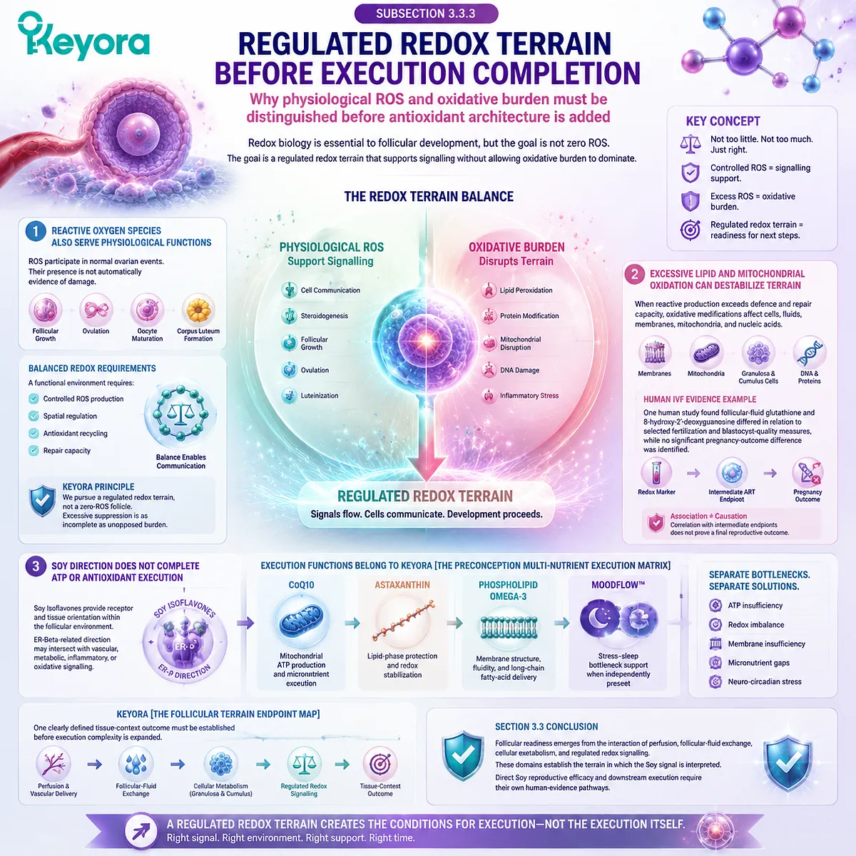 Soy isoflavones support follicular wellness through ER-β signaling, regulated redox balance, oxidative stress interpretation, and tissue terrain within the Keyora Follicular Terrain Endpoint Map. Soy isoflavones support follicular wellness through ER-β signaling, regulated redox balance, oxidative stress interpretation, and tissue terrain within the Keyora Follicular Terrain Endpoint Map.