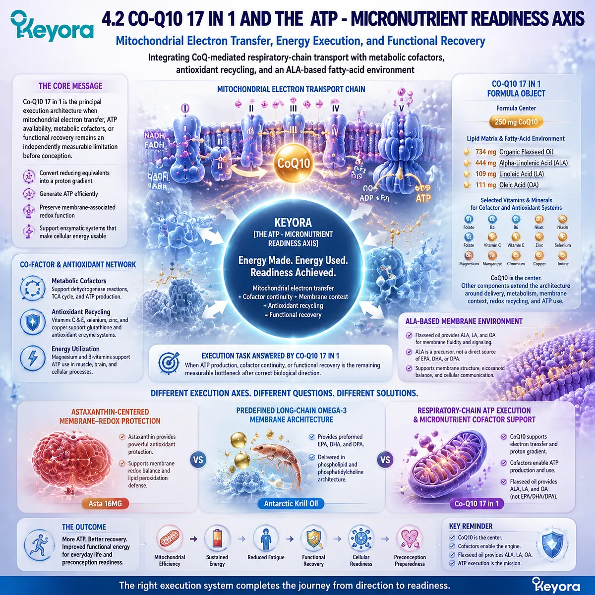 CoQ10 mitochondrial support improves ATP energy execution through electron transport, micronutrient cofactors, and redox recycling within the Keyora ATP - Micronutrient Readiness Axis. CoQ10 mitochondrial support improves ATP energy execution through electron transport, micronutrient cofactors, and redox recycling within the Keyora ATP - Micronutrient Readiness Axis.