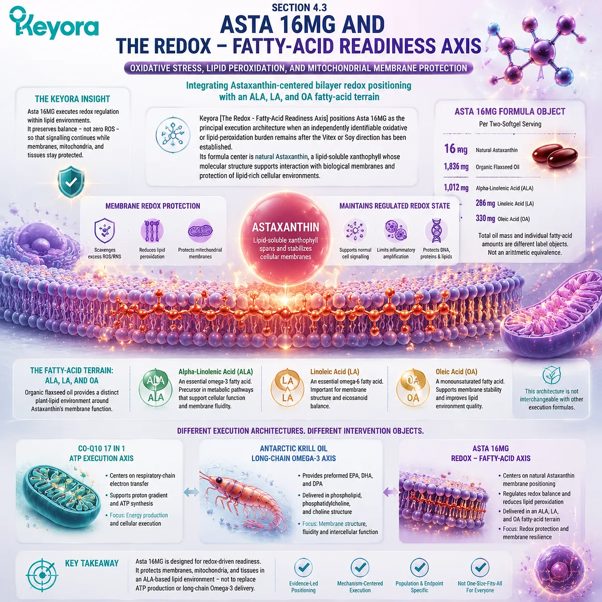 Astaxanthin redox support protects lipid membranes through oxidative balance, fatty-acid architecture, and mitochondrial membrane context within Keyora Redox - Fatty-Acid Readiness Axis. Astaxanthin redox support protects lipid membranes through oxidative balance, fatty-acid architecture, and mitochondrial membrane context within Keyora Redox - Fatty-Acid Readiness Axis.