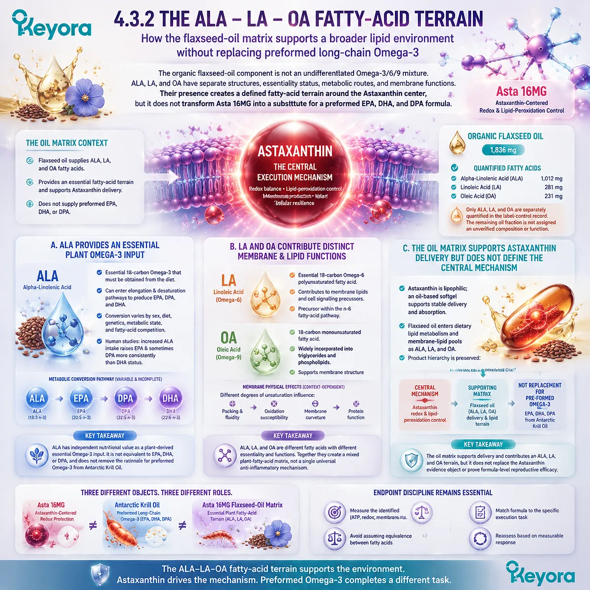 Astaxanthin redox support integrates ALA LA OA fatty-acid terrain with membrane lipid context and oxidative balance through Keyora Redox - Fatty-Acid Readiness Axis. Astaxanthin redox support integrates ALA LA OA fatty-acid terrain with membrane lipid context and oxidative balance through Keyora Redox - Fatty-Acid Readiness Axis.