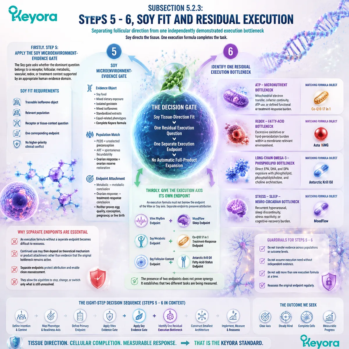 Soy isoflavones preconception pathway showing ER-β signaling, follicular microenvironment, execution bottlenecks and endpoint separation through Keyora Soy Microenvironment-Evidence Gate. Soy isoflavones preconception pathway showing ER-β signaling, follicular microenvironment, execution bottlenecks and endpoint separation through Keyora Soy Microenvironment-Evidence Gate.