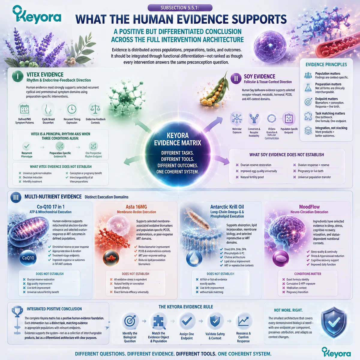 Preconception evidence matrix showing Vitex rhythm, soy isoflavone ER-β signaling, mitochondrial, redox, omega-3 and neuro-circadian execution pathways through Keyora framework. Preconception evidence matrix showing Vitex rhythm, soy isoflavone ER-β signaling, mitochondrial, redox, omega-3 and neuro-circadian execution pathways through Keyora framework.