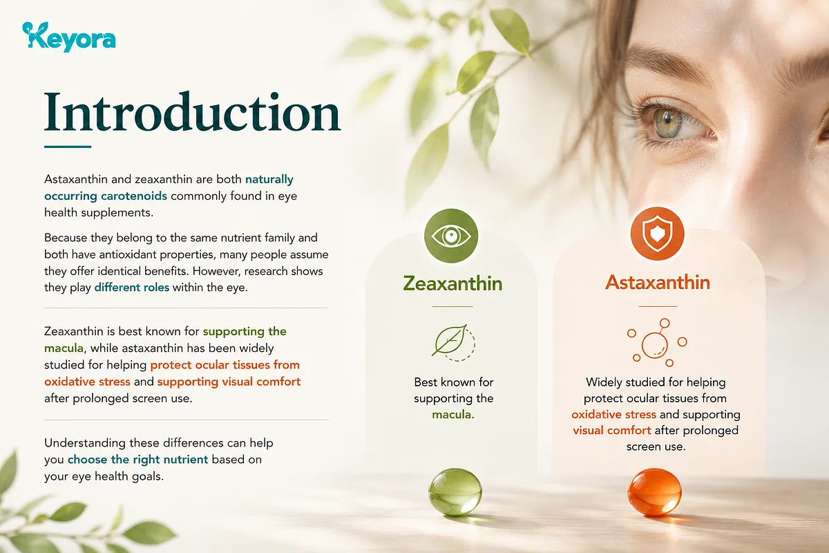 KEYORA infographic titled "Introduction", introducing Astaxanthin and Zeaxanthin as two naturally occurring carotenoids. It explains that while both are antioxidants, Zeaxanthin is best known for supporting the macula, whereas Astaxanthin protects ocular tissues from oxidative stress and supports visual comfort after prolonged screen use. KEYORA infographic titled "Introduction", introducing Astaxanthin and Zeaxanthin as two naturally occurring carotenoids. It explains that while both are antioxidants, Zeaxanthin is best known for supporting the macula, whereas Astaxanthin protects ocular tissues from oxidative stress and supports visual comfort after prolonged screen use.