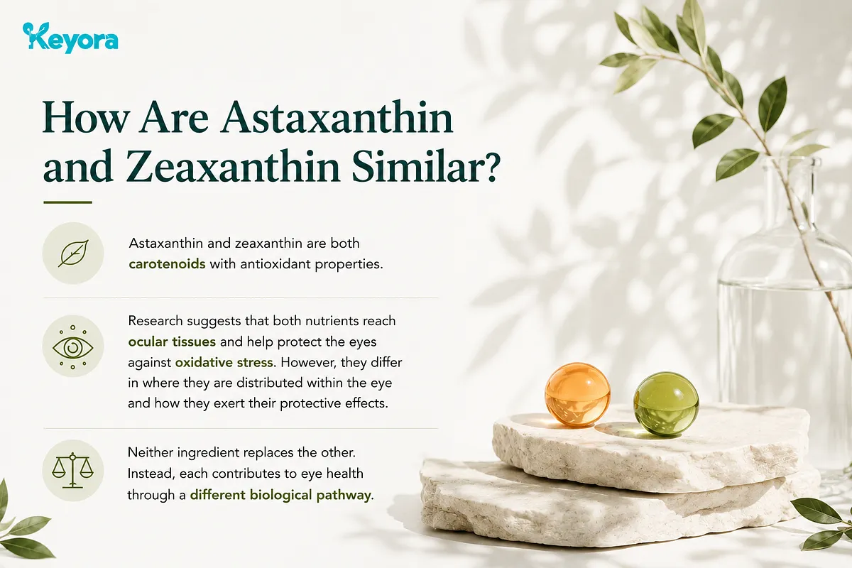 KEYORA educational diagram titled "How Are Astaxanthin and Zeaxanthin Similar?", featuring red and green softgels on stone pedestals. It details their commonalities as carotenoids protecting ocular tissues from oxidative stress, while noting they differ in tissue distribution and biological pathways. KEYORA educational diagram titled "How Are Astaxanthin and Zeaxanthin Similar?", featuring red and green softgels on stone pedestals. It details their commonalities as carotenoids protecting ocular tissues from oxidative stress, while noting they differ in tissue distribution and biological pathways.