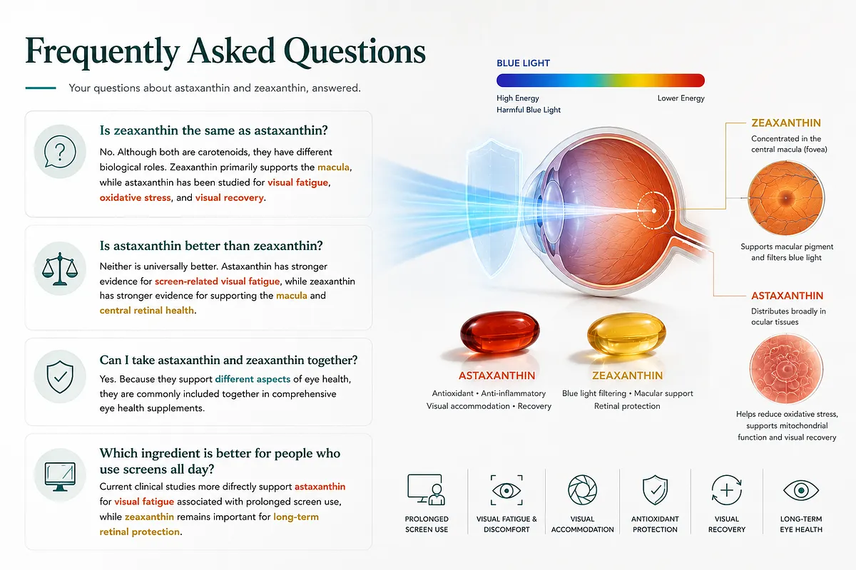 KEYORA FAQ infographic titled "Frequently Asked Questions", addressing questions about Astaxanthin vs. Zeaxanthin. The left side answers four questions clarifying their distinct roles, relative strength, combination benefits, and suitability for heavy screen users. The right side features a visual blue light spectrum entering an eye anatomy diagram, illustrating how Zeaxanthin concentrates in the central macula (fovea) to filter blue light, while Astaxanthin distributes broadly across ocular tissues to reduce oxidative stress, support mitochondrial function, and aid visual recovery. KEYORA FAQ infographic titled "Frequently Asked Questions", addressing questions about Astaxanthin vs. Zeaxanthin. The left side answers four questions clarifying their distinct roles, relative strength, combination benefits, and suitability for heavy screen users. The right side features a visual blue light spectrum entering an eye anatomy diagram, illustrating how Zeaxanthin concentrates in the central macula (fovea) to filter blue light, while Astaxanthin distributes broadly across ocular tissues to reduce oxidative stress, support mitochondrial function, and aid visual recovery.