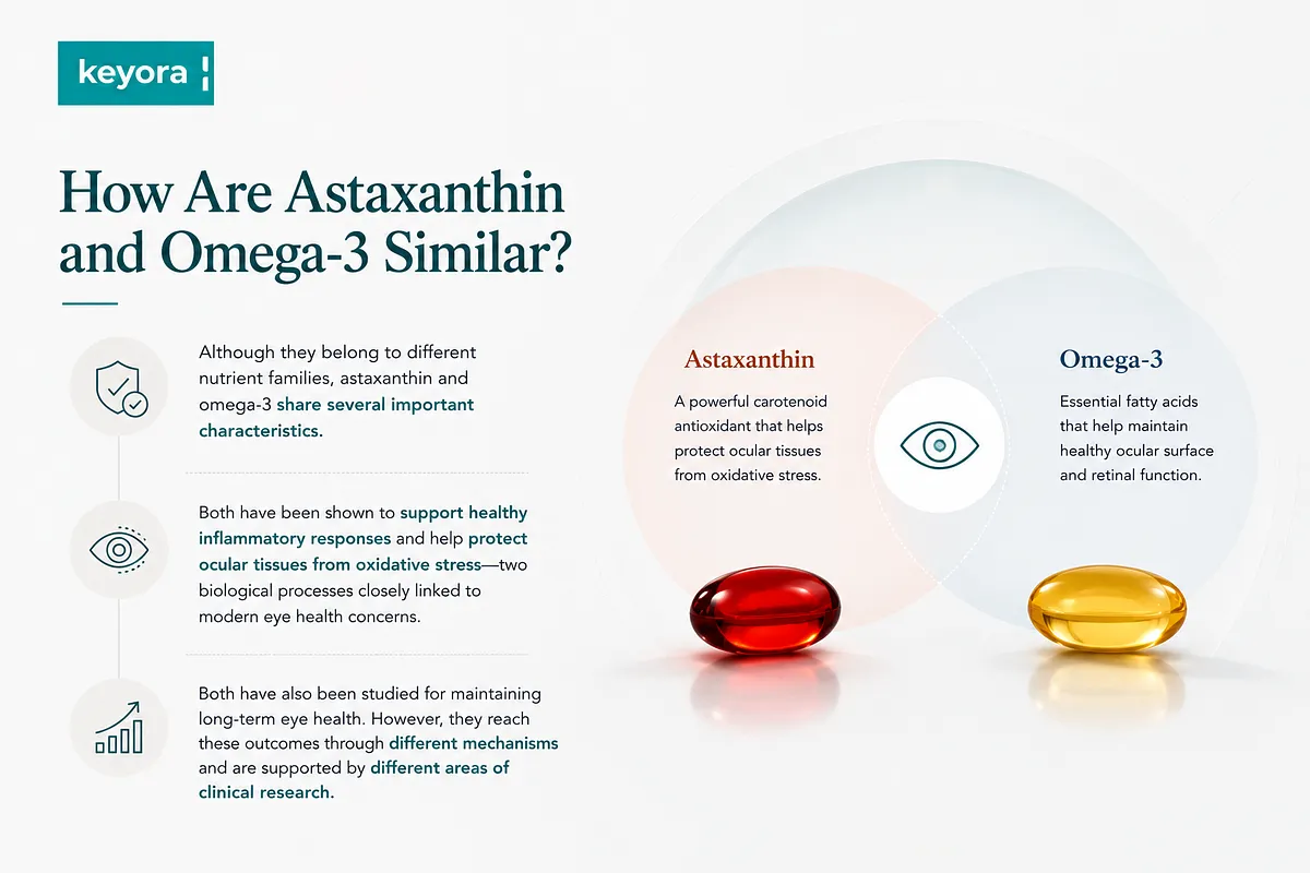 KEYORA Venn diagram infographic titled "How Are Astaxanthin and Omega-3 Similar?". It shows both nutrients overlapping in supporting healthy inflammatory responses and protecting ocular tissues from oxidative stress, despite belonging to different nutrient families. KEYORA Venn diagram infographic titled "How Are Astaxanthin and Omega-3 Similar?". It shows both nutrients overlapping in supporting healthy inflammatory responses and protecting ocular tissues from oxidative stress, despite belonging to different nutrient families.