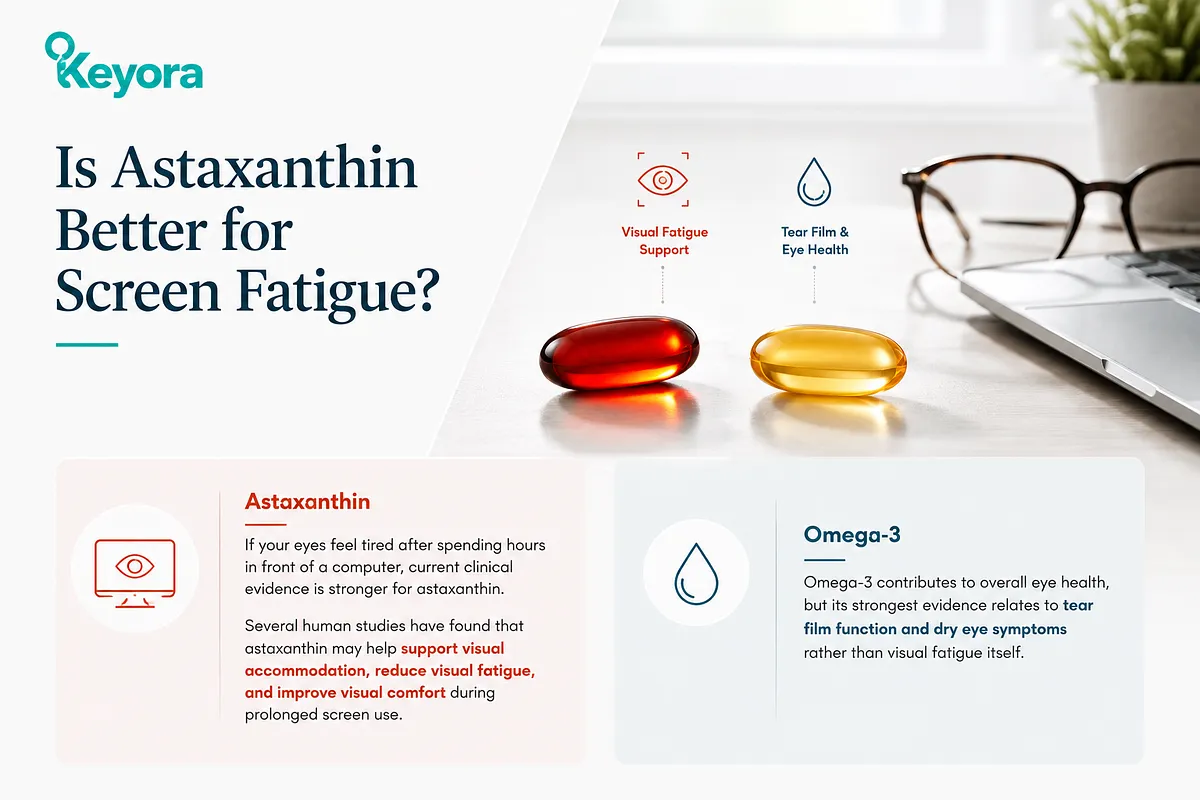 KEYORA comparison slide titled "Is Astaxanthin Better for Screen Fatigue?", set against an office desk setup. It highlights that Astaxanthin has stronger clinical evidence for visual accommodation and screen fatigue, whereas Omega-3 mainly targets tear film function and dry eye symptoms. KEYORA comparison slide titled "Is Astaxanthin Better for Screen Fatigue?", set against an office desk setup. It highlights that Astaxanthin has stronger clinical evidence for visual accommodation and screen fatigue, whereas Omega-3 mainly targets tear film function and dry eye symptoms.