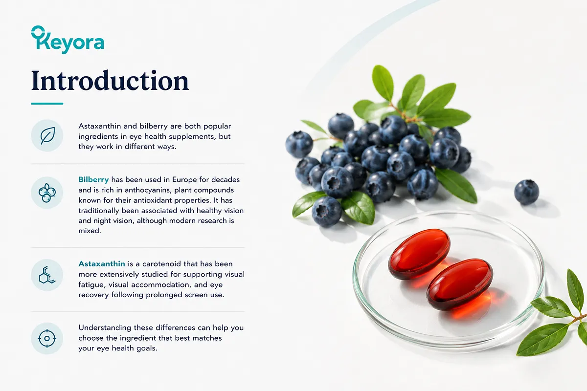 KEYORA introductory infographic titled "Introduction", showcasing fresh bilberries and red astaxanthin softgels on a glass petri dish. It outlines that Bilberry is a berry extract rich in anthocyanins used traditionally for healthy vision and ocular circulation, whereas Astaxanthin is a carotenoid extensively studied for screen fatigue and visual accommodation. KEYORA introductory infographic titled "Introduction", showcasing fresh bilberries and red astaxanthin softgels on a glass petri dish. It outlines that Bilberry is a berry extract rich in anthocyanins used traditionally for healthy vision and ocular circulation, whereas Astaxanthin is a carotenoid extensively studied for screen fatigue and visual accommodation.