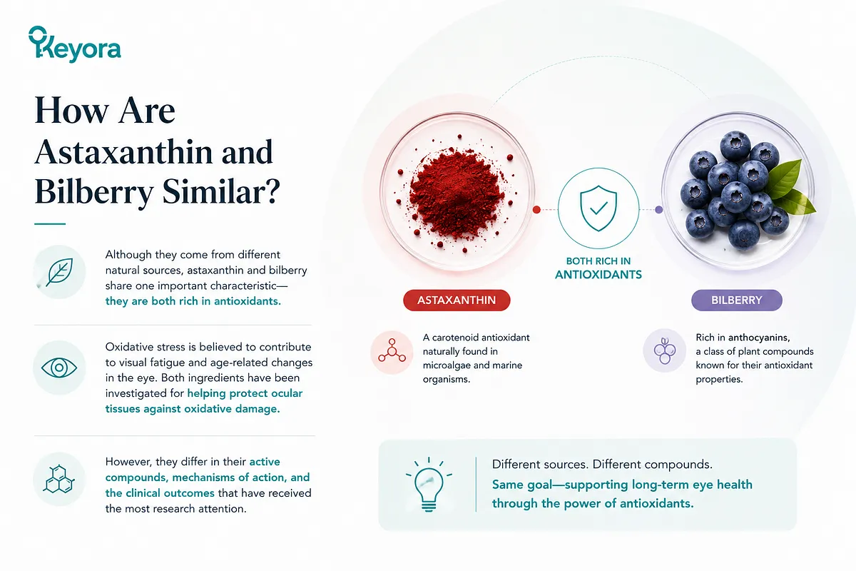KEYORA educational diagram titled "How Are Astaxanthin and Bilberry Similar?", featuring red astaxanthin powder and fresh bilberries. It highlights their shared characteristic of being rich in antioxidants that protect eye tissues from oxidative damage, despite coming from different natural sources and active compounds. KEYORA educational diagram titled "How Are Astaxanthin and Bilberry Similar?", featuring red astaxanthin powder and fresh bilberries. It highlights their shared characteristic of being rich in antioxidants that protect eye tissues from oxidative damage, despite coming from different natural sources and active compounds.