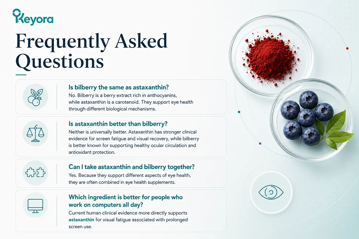 KEYORA FAQ infographic titled "Frequently Asked Questions", set against petri dishes containing red astaxanthin powder and fresh bilberries. It answers four common questions regarding their differences, relative strengths for computer users, combination benefits, and clinical research backing. KEYORA FAQ infographic titled "Frequently Asked Questions", set against petri dishes containing red astaxanthin powder and fresh bilberries. It answers four common questions regarding their differences, relative strengths for computer users, combination benefits, and clinical research backing.