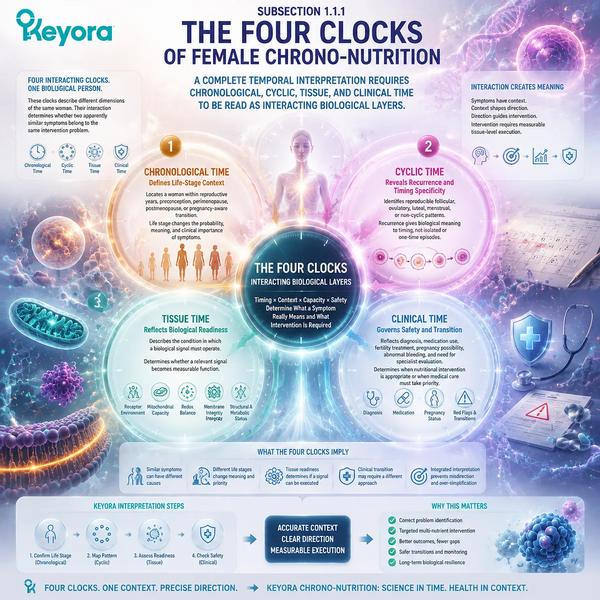 Female chrono-nutrition integrates chronological, cyclic, tissue, and clinical time to interpret life stage, biological readiness, and intervention relevance through Keyora Four Clocks framework. Female chrono-nutrition integrates chronological, cyclic, tissue, and clinical time to interpret life stage, biological readiness, and intervention relevance through Keyora Four Clocks framework.
