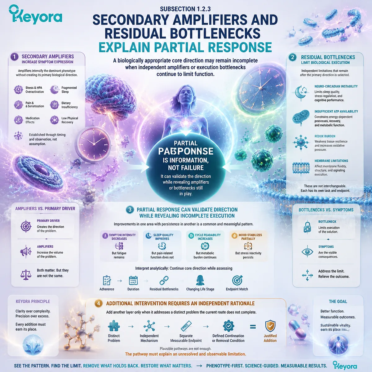 Female nutrition response depends on secondary amplifiers and residual bottlenecks affecting sleep, energy, redox, and tissue execution through Keyora Female Chrono-Nutrition. Female nutrition response depends on secondary amplifiers and residual bottlenecks affecting sleep, energy, redox, and tissue execution through Keyora Female Chrono-Nutrition.