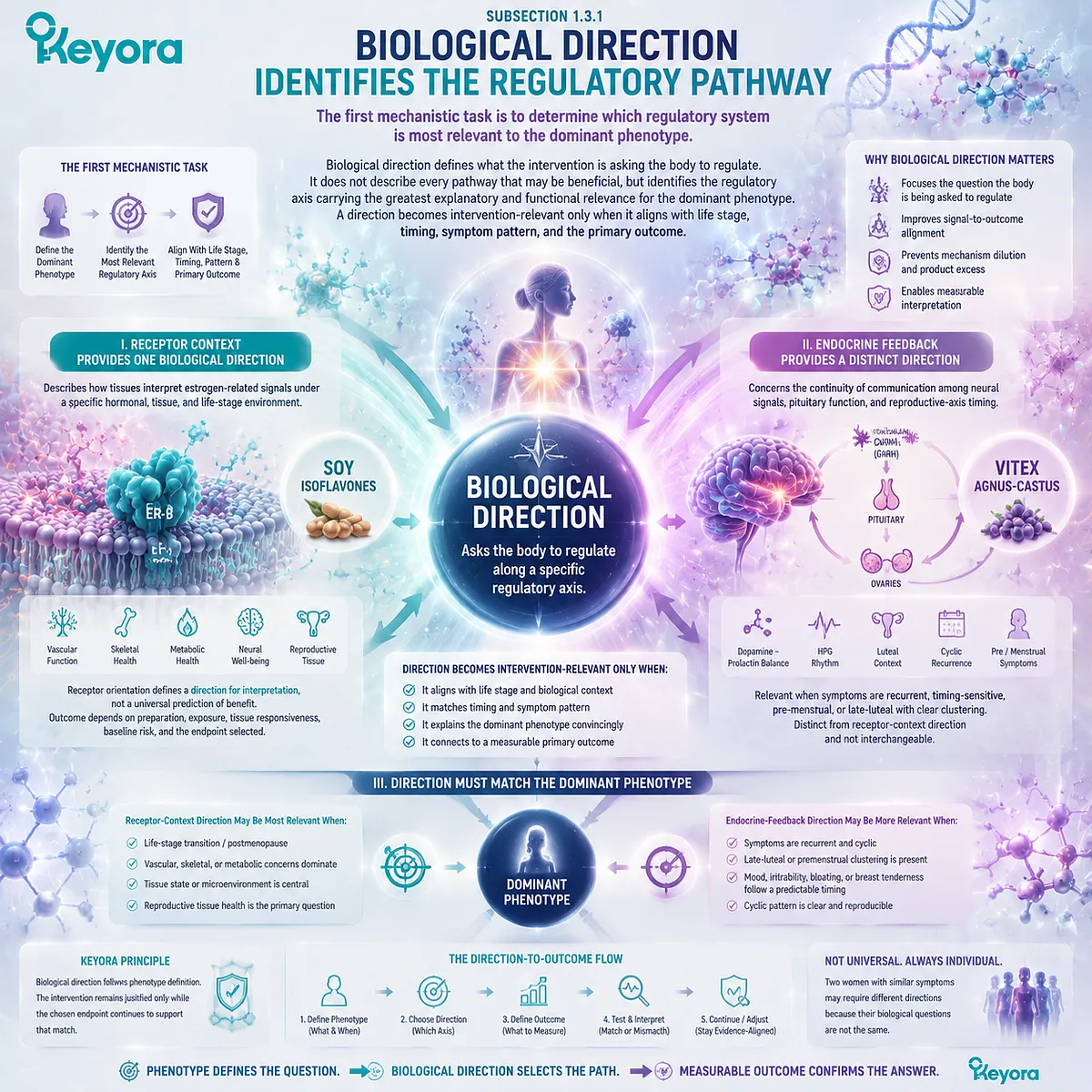 Soy isoflavones and Vitex represent distinct female nutrition directions through ER-β signaling and endocrine-feedback timing in the Keyora Female Chrono-Nutrition framework. Soy isoflavones and Vitex represent distinct female nutrition directions through ER-β signaling and endocrine-feedback timing in the Keyora Female Chrono-Nutrition framework.