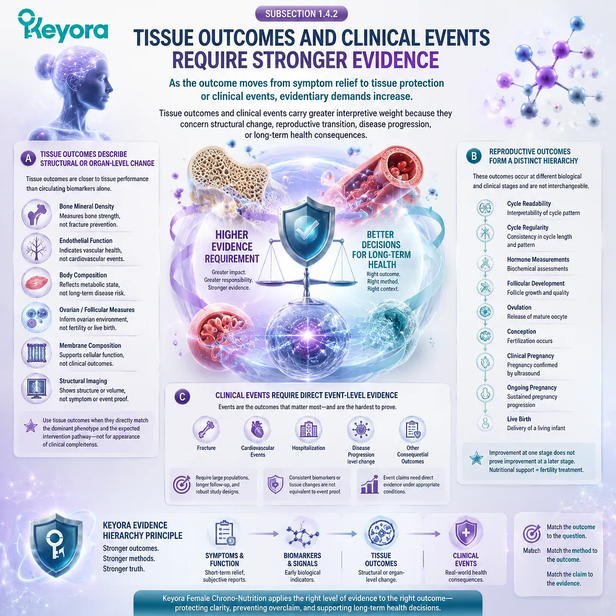 Female nutrition evidence hierarchy separates tissue outcomes and clinical events from biomarkers through Keyora Female Chrono-Nutrition evidence governance. Female nutrition evidence hierarchy separates tissue outcomes and clinical events from biomarkers through Keyora Female Chrono-Nutrition evidence governance.