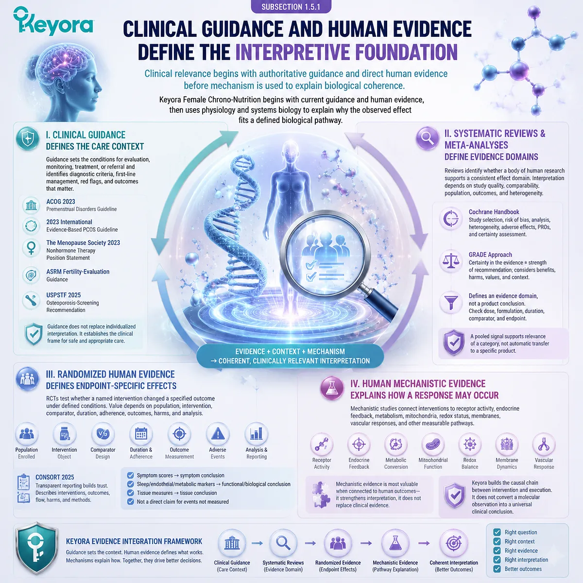 Female nutrition evidence hierarchy integrates clinical guidance, human trials, systematic reviews, and mechanisms through the Keyora Female Chrono-Nutrition Discipline Definition. Female nutrition evidence hierarchy integrates clinical guidance, human trials, systematic reviews, and mechanisms through the Keyora Female Chrono-Nutrition Discipline Definition.