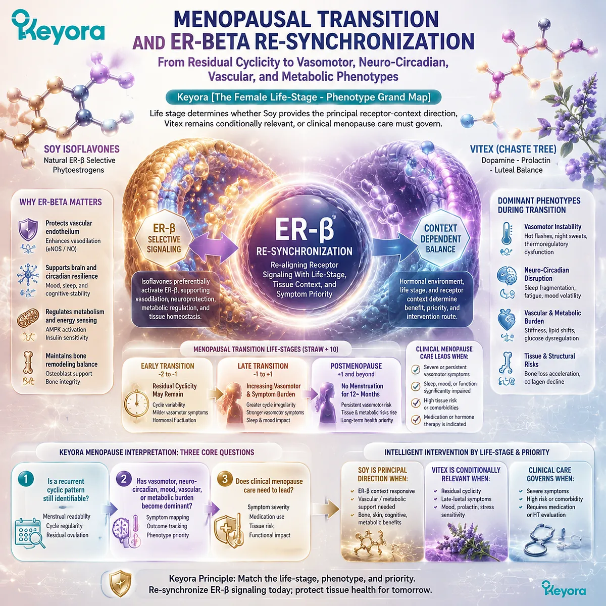 Menopause transition mapping connects vasomotor symptoms, sleep quality, mood balance, and metabolic wellness with ER-β signaling, ovarian timing, and Keyora Female Chrono-Nutrition phenotype classification. Menopause transition mapping connects vasomotor symptoms, sleep quality, mood balance, and metabolic wellness with ER-β signaling, ovarian timing, and Keyora Female Chrono-Nutrition phenotype classification.