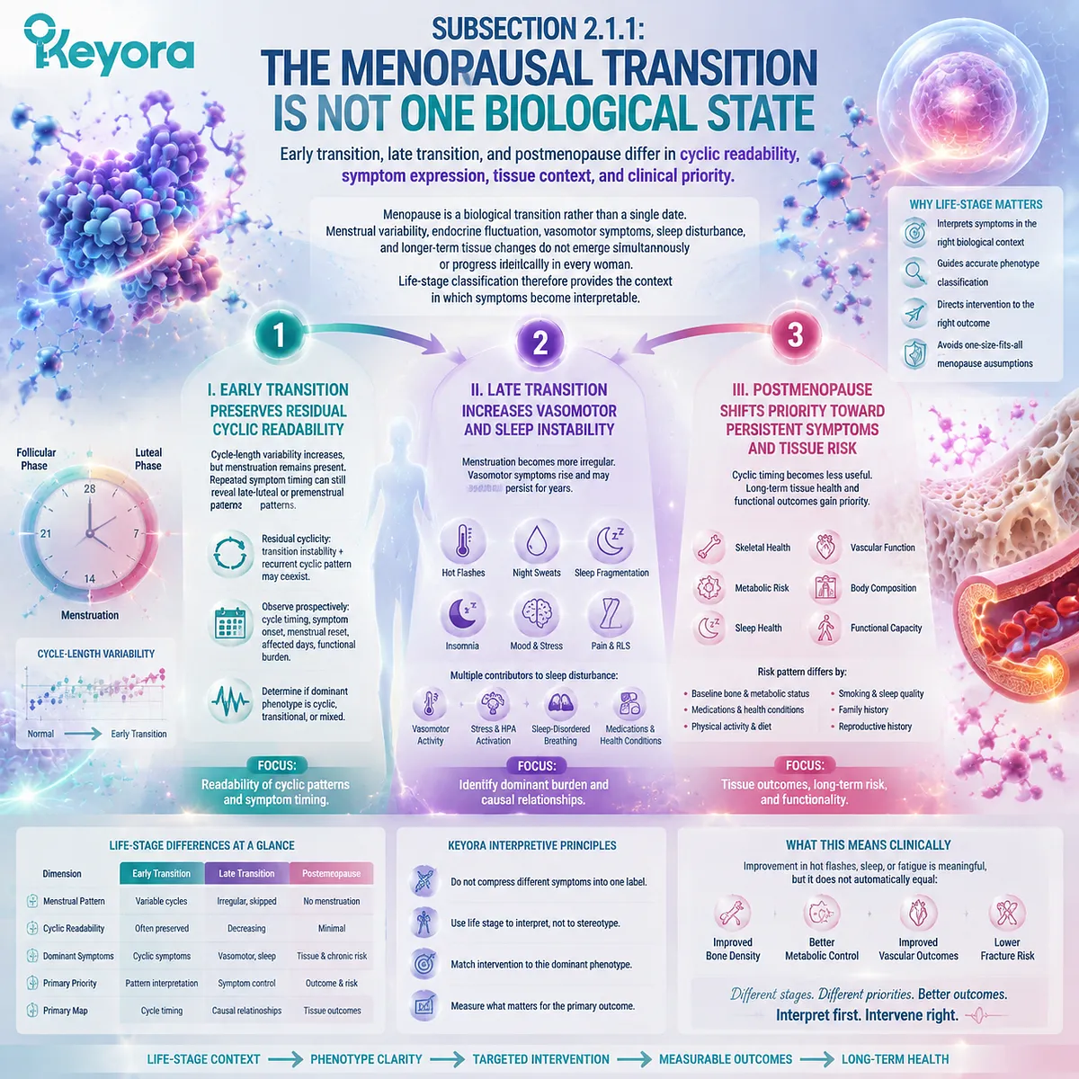 Menopause transition stages shape vasomotor symptoms, sleep quality, and tissue health through cyclic timing, ER-β signaling context, and Keyora Female Chrono-Nutrition phenotype mapping. Menopause transition stages shape vasomotor symptoms, sleep quality, and tissue health through cyclic timing, ER-β signaling context, and Keyora Female Chrono-Nutrition phenotype mapping.