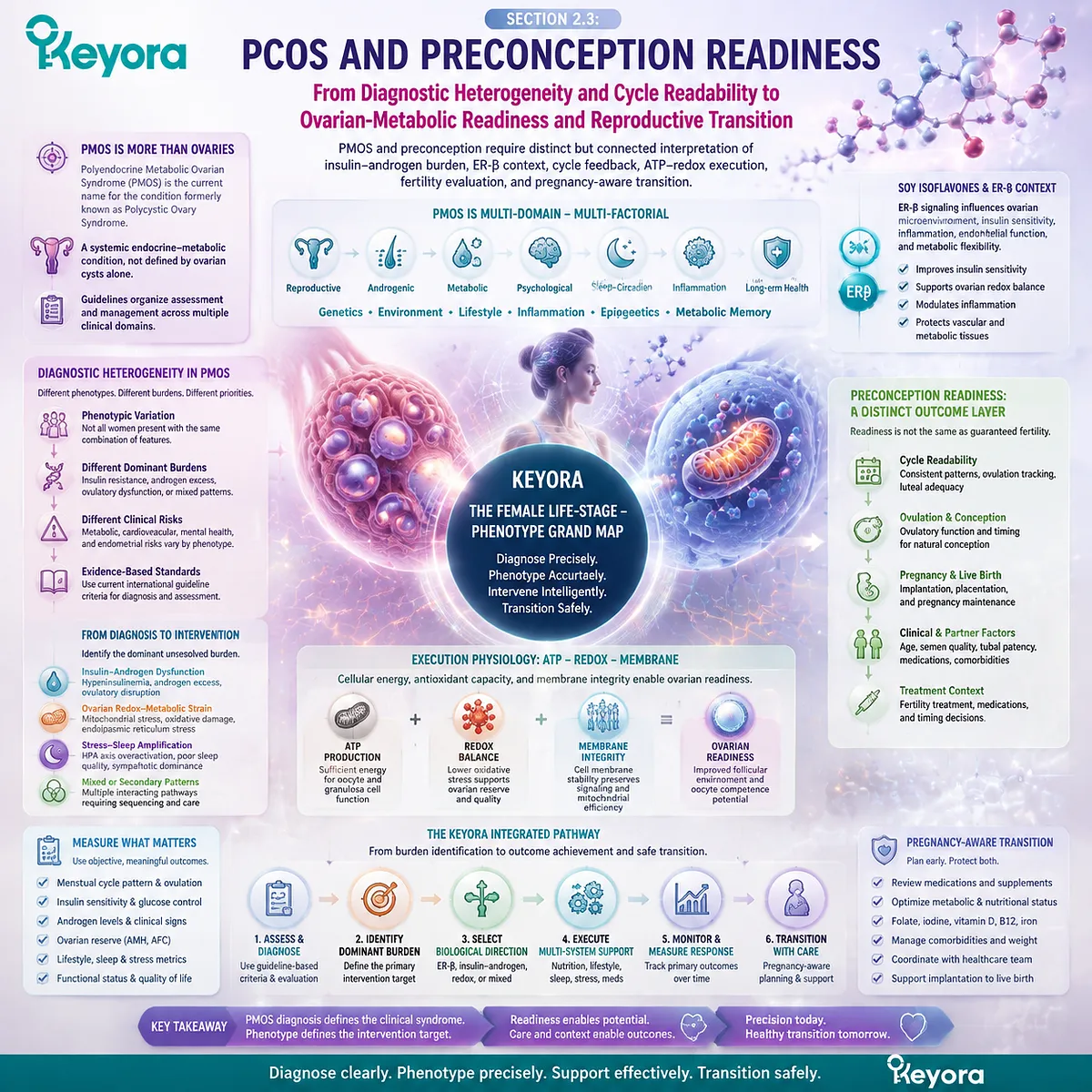 PCOS and preconception nutrition map insulin-androgen balance, ovarian metabolism, ER-β signaling, ATP-redox support, and Keyora Female Chrono-Nutrition phenotype readiness. PCOS and preconception nutrition map insulin-androgen balance, ovarian metabolism, ER-β signaling, ATP-redox support, and Keyora Female Chrono-Nutrition phenotype readiness.