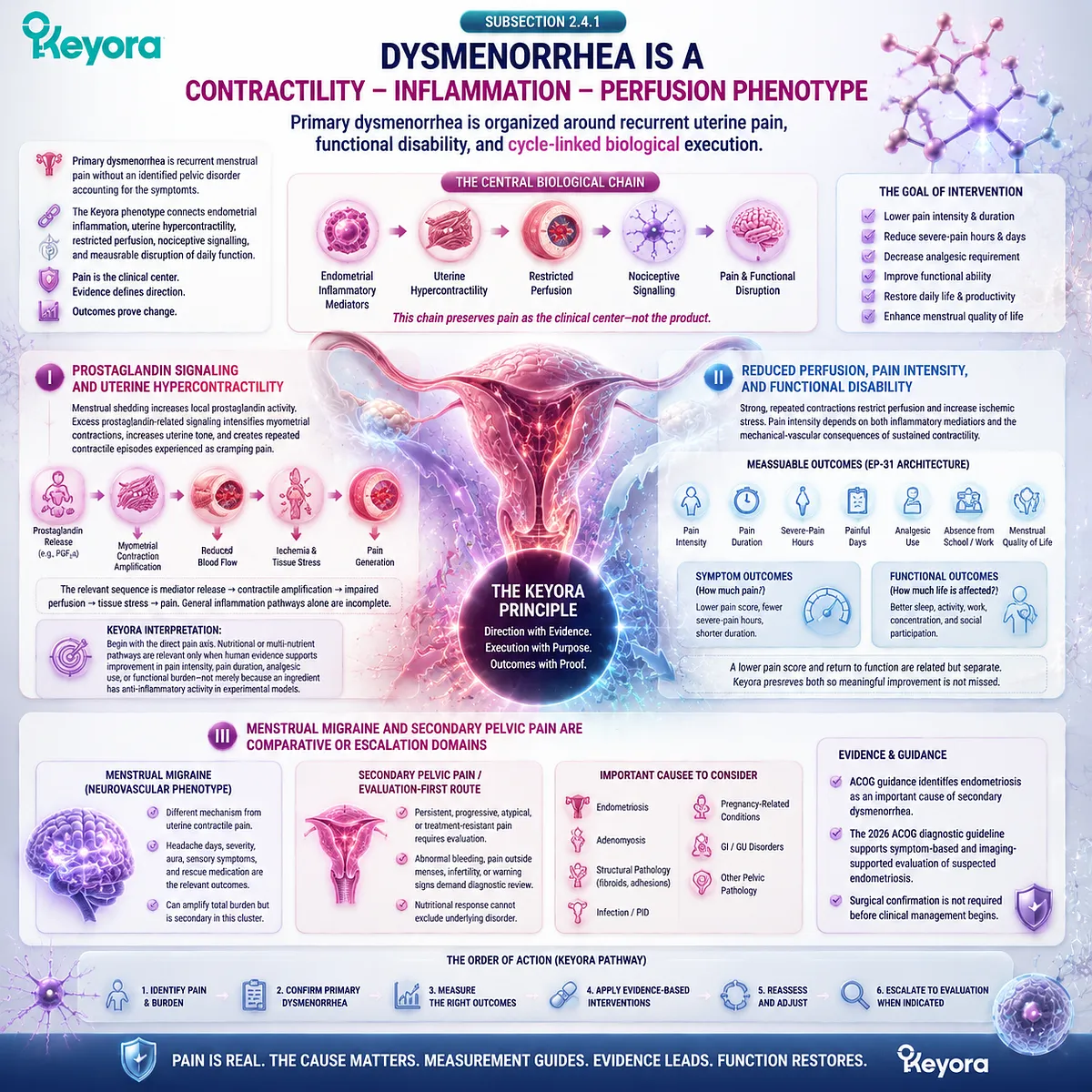 Dysmenorrhea pain is mapped through prostaglandin signaling, uterine contractility, perfusion changes, and functional burden within the Keyora Contractility-Inflammation-Perfusion Phenotype. Dysmenorrhea pain is mapped through prostaglandin signaling, uterine contractility, perfusion changes, and functional burden within the Keyora Contractility-Inflammation-Perfusion Phenotype.