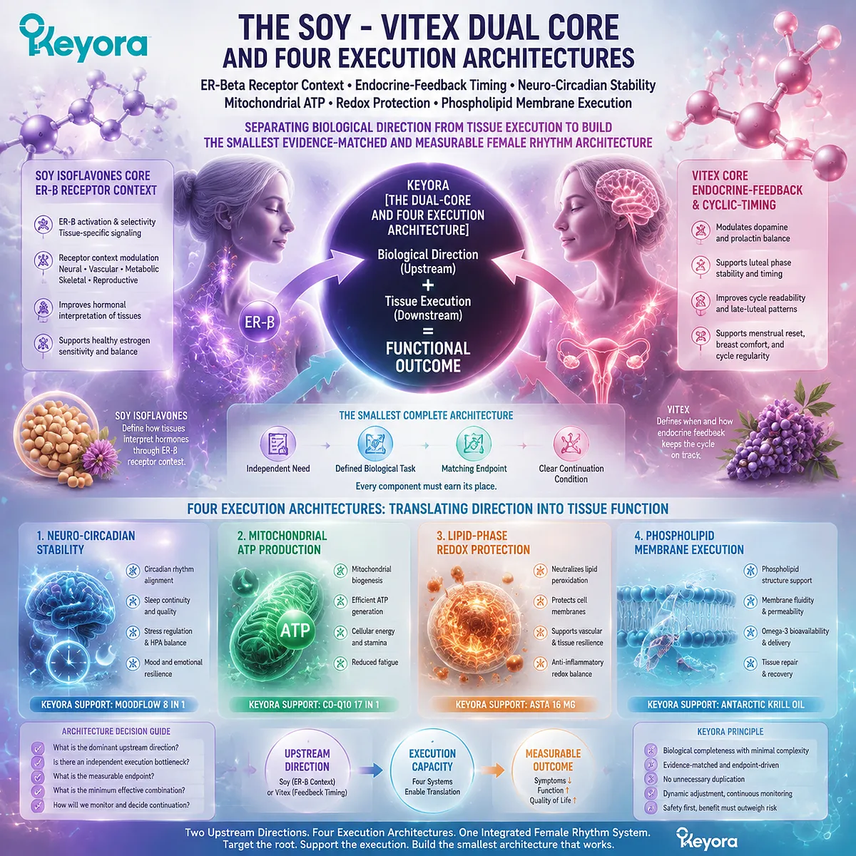 Female rhythm support through soy isoflavones ER-β signaling and Vitex endocrine-feedback timing, integrated with mitochondrial ATP, redox protection, and Keyora Dual-Core and Four-Execution Architecture Female rhythm support through soy isoflavones ER-β signaling and Vitex endocrine-feedback timing, integrated with mitochondrial ATP, redox protection, and Keyora Dual-Core and Four-Execution Architecture